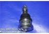 шаравой Ball Joint:40160-31U00