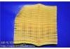 空氣濾清器 Air Filter:17801-31100