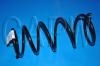 Coil Spring:54010-ED50B