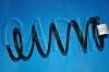 Coil Spring:55020-0E011
