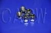Nut:40224-V5500