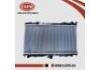 Heizk?rper Radiator:21410-4M407