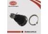 Joint de suspension Ball Joint:40160-01G50