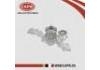 Water Pump:16100-39405