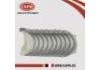 вкладыш Engine Bearing:12118-4M500