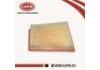 空氣濾清器 Air Filter:16546-J020B