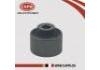 Lower Suspension Arm  Lower Suspension Arm:54560-1HJ0A