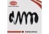 Coil Spring:55020-JE30B